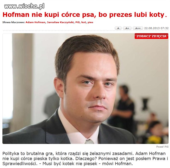 Nie kupi pieska, bo prezes lubi koty