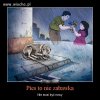 Pies to nie zabawka tak jak i inne zwierzęta