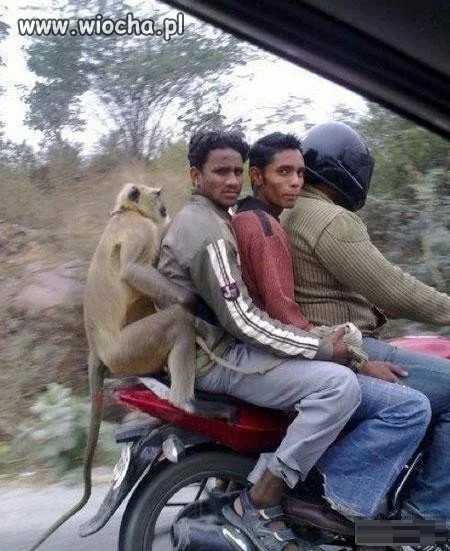 Banda czworga