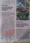 żenujacy bełkot dziennikarzy