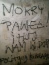 Mokry Paweł
