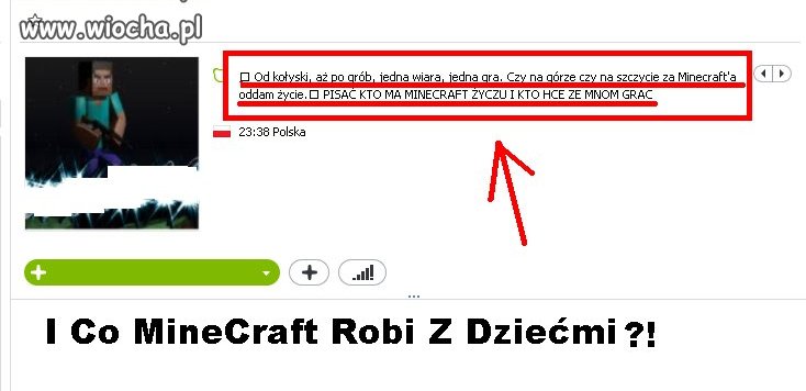 MineCraft i jego fani 