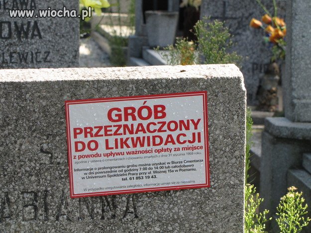 Groby Powstańców Wielkopolskich do...