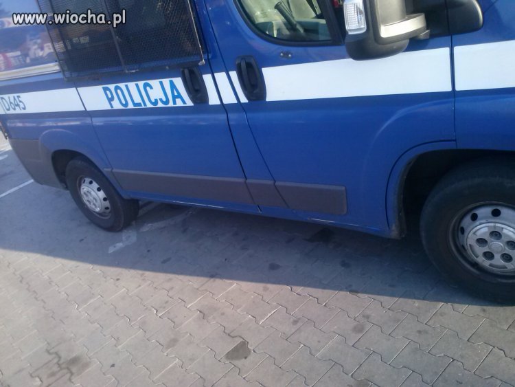 Policja może wszystko 