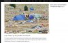 Brudstock