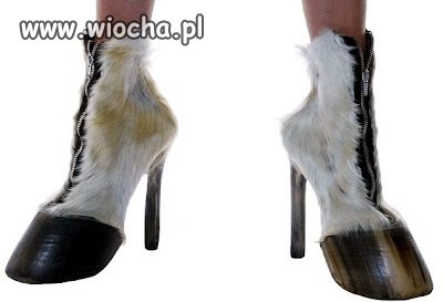 Buciki na każdą okazję