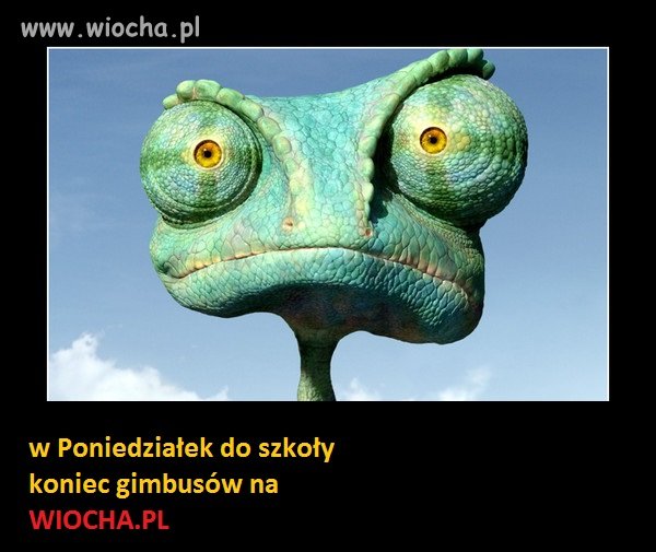 NARESZCIE