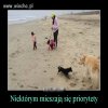 Dzieci powinna nazwać Azor i Burek