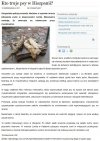 Przeszkadzają wam psy - trzeba nam więcej muslimów