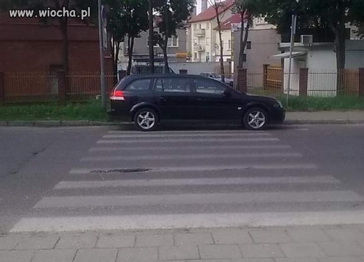 Mistrz 