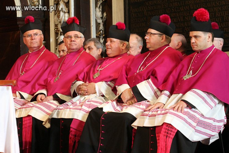 Wiocha.pl... Elitarna Loża Szyderców???!!!...