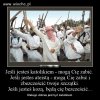 Jak dobrze być katolikiem