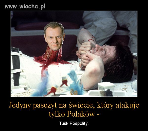 Pasożyt...