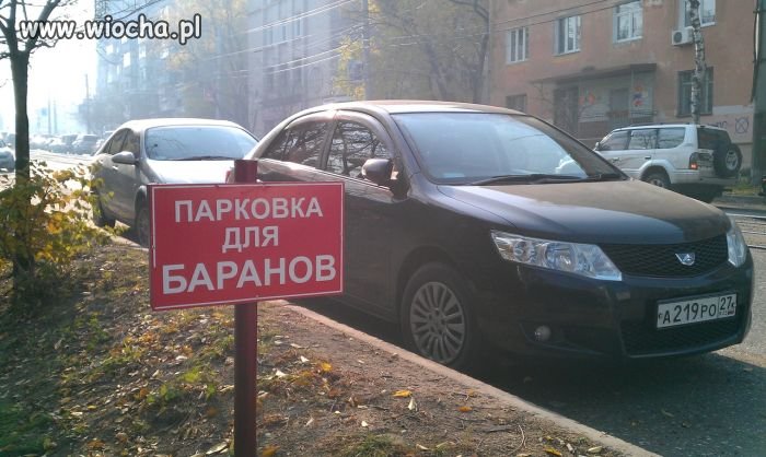"Parking dla baranów"