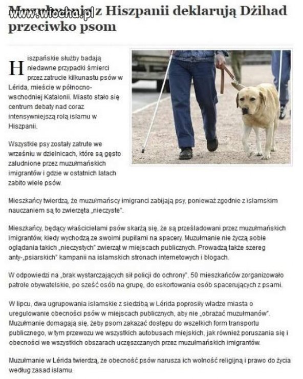 Dzihad przeciwko pieskom...