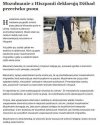 Dzihad przeciwko pieskom...