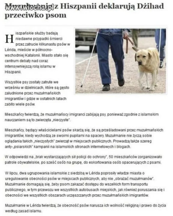 Dzihad przeciwko pieskom...