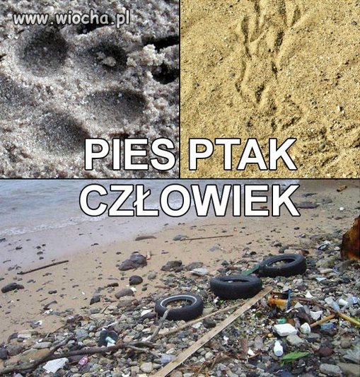 Ślady zostawione na piasku