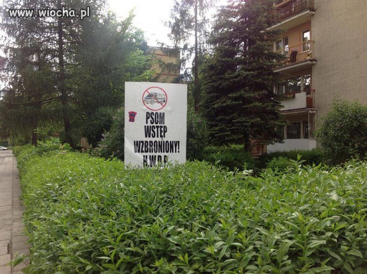 Na 1 rzut oka spokojne osiedle 