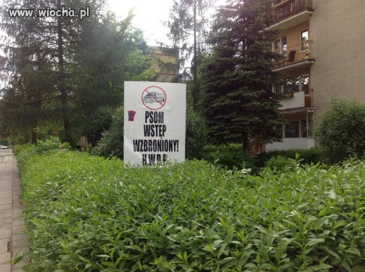 Na 1 rzut oka spokojne osiedle 