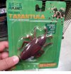 Tarantula