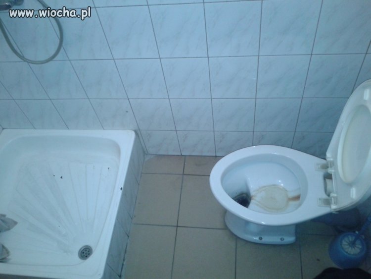 Kibel XXI wieku - czystość to podstawa