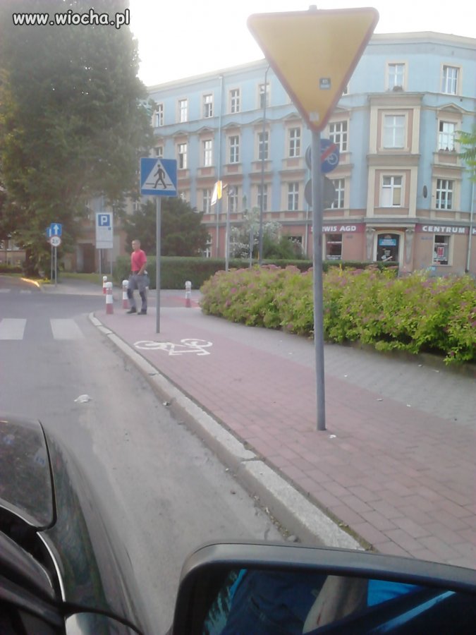 Ścieżki rowerowe