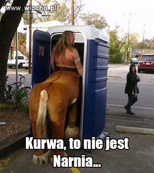 Pomylił światy