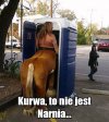 Pomylił światy