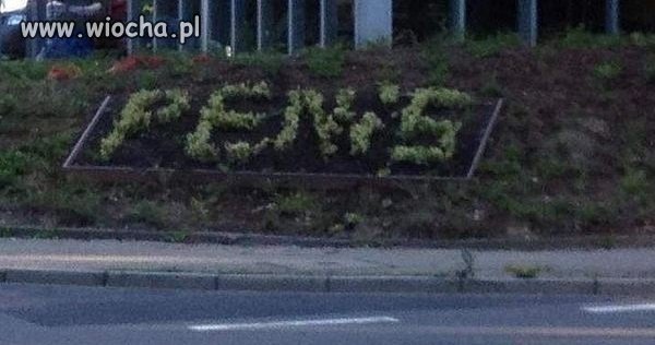 Głodnemu zawsze chleb na myśli