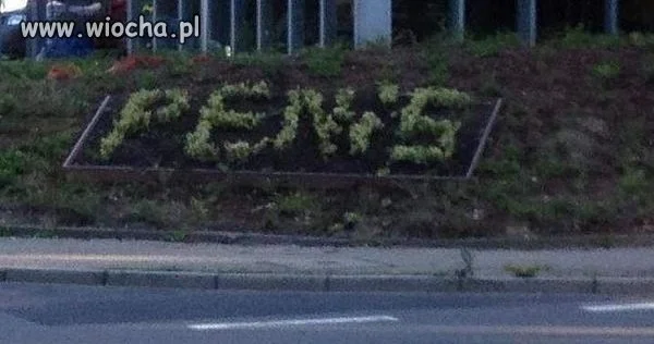 Głodnemu zawsze chleb na myśli
