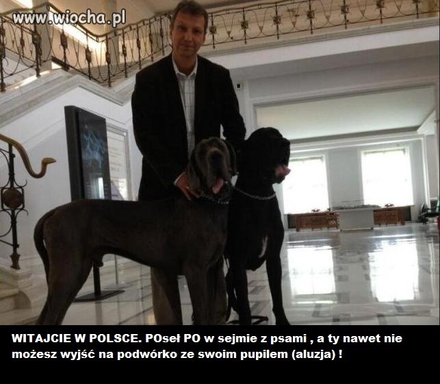 Welcome to Poland