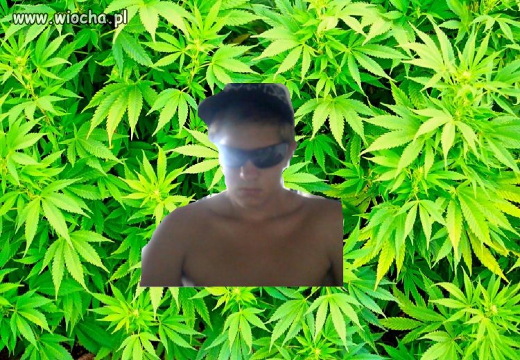 Ganja Mafia
