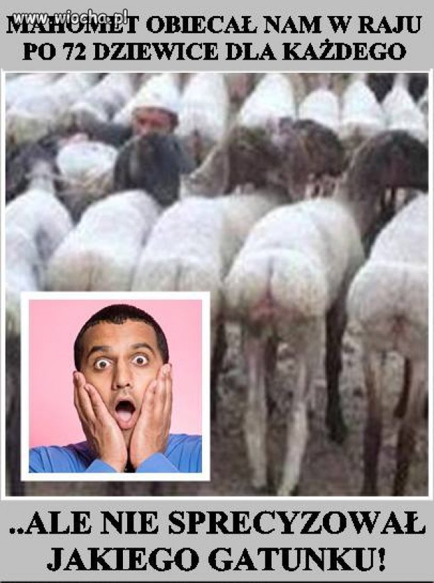 Islam 