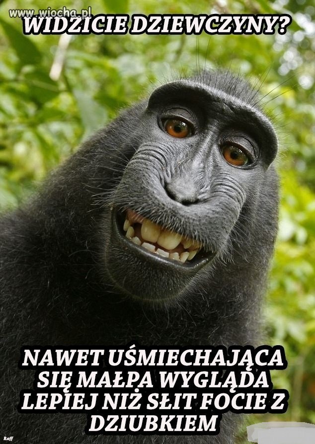 Może małpa ma rację!
