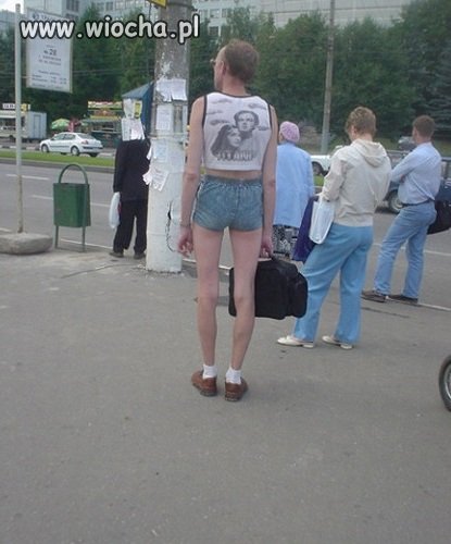 Modniś debeściak