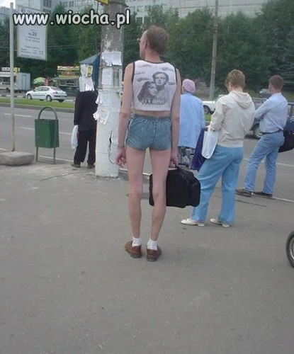 Modniś debeściak