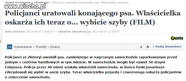 Nie ogarniam głupoty...