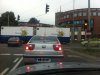 Dzięki grandiflora, Na tym zielonym nie przejechał