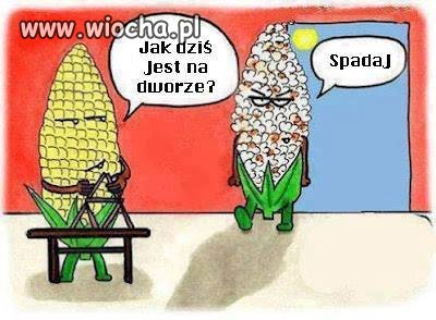 Koszmarne upały w Polsce