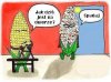 Koszmarne upały w Polsce