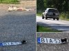 Ten kierowca zabił młodego i głupiego psiaka