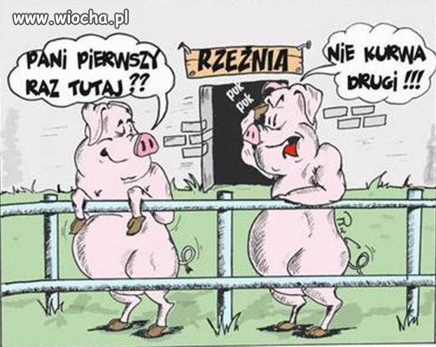 Bez komentarza