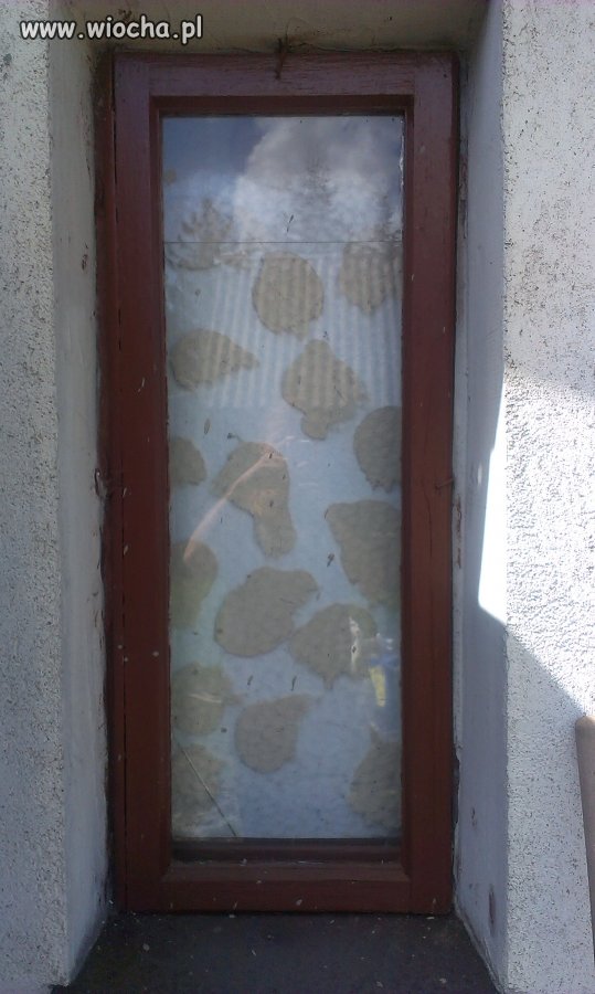 Okienko