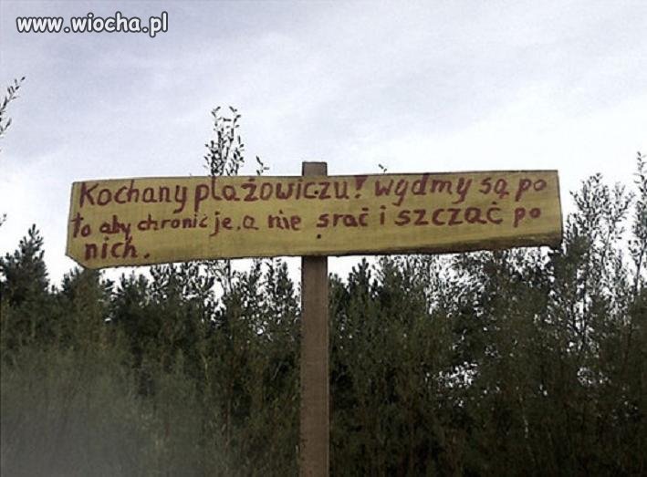 Prosty przekaz