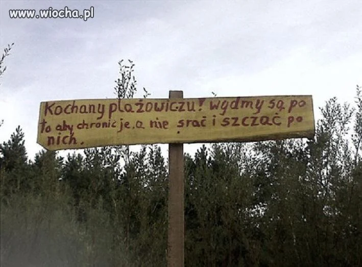 Prosty przekaz