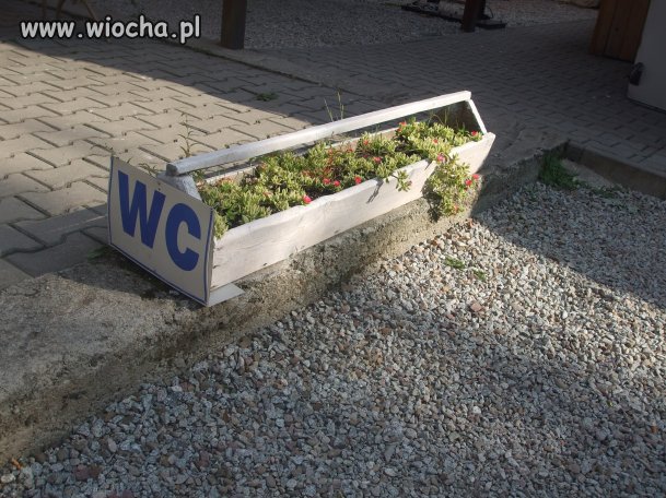 A w Jaworkach
