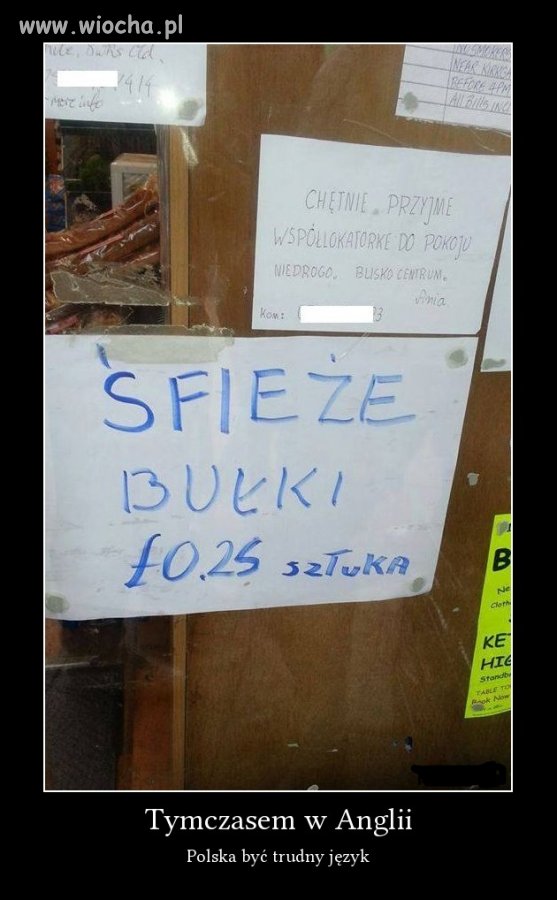 śfieże bułki