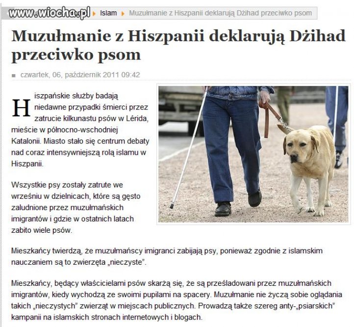 Dżihad przeciwko psom 