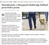 Dżihad przeciwko psom 